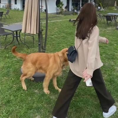 在土星环中 封面